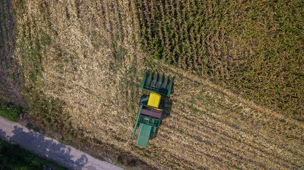 空中ビューコンバイン収穫機はトウモロコシ畑で働いています — ストック写真