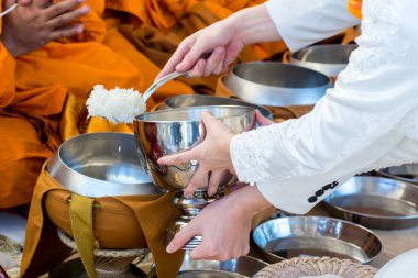 Keşişe yemek teklif et. Damat geleneksel Tay düğün töreninde bir Budist keşiş sadaka gıda vermek. 