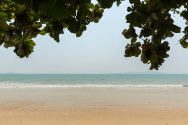 Tropik plaj. Seyşeller 'de güneşli sahil ve turkuaz deniz. Yaz tatili ve tropik plaj konsepti. Yazın deniz ve plajlar. 