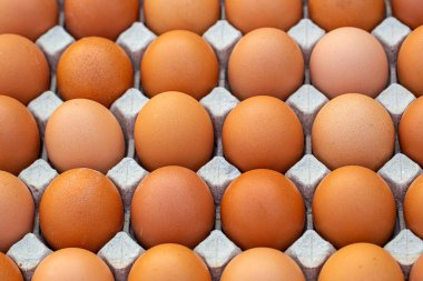 Doğal köy tarım arazisindeki sepette organik tavuk yumurtası grubu. Pazarda satılık taze yumurtalar. Yerel Çiftçi Pazarında Taze Tavuk Horozu Yumurtası.