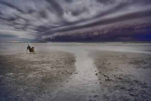 Tormenta Nublada Mar Antes Lluvias Tornado Tormentas Nublan Sobre Mar — Foto de Stock