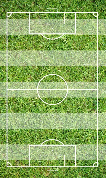 Green Soccer Field White Blue Color — Stock Photo, Image