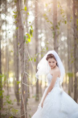 Ormanda beyaz elbiseli güzel bir gelin.