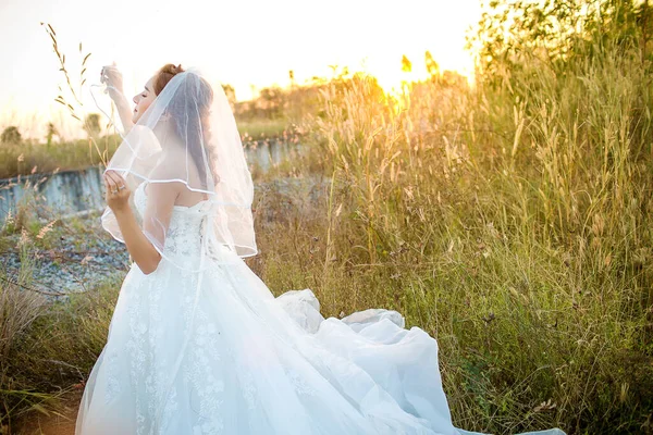 Beyaz Elbiseli Güzel Bir Gelin Ormanın Arka Planında Bir Duvak — Stok fotoğraf