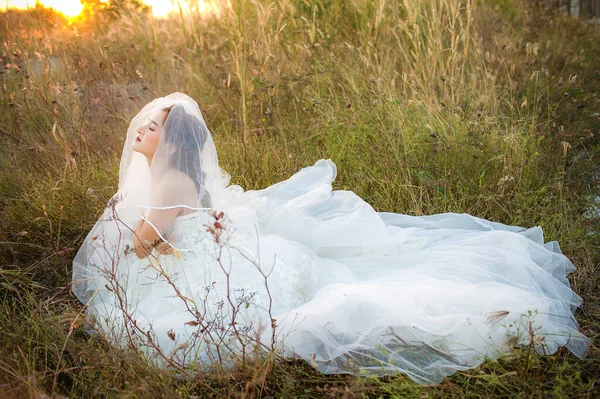 Beautiful Bride White Dress Veil Posing Forest — Stok fotoğraf
