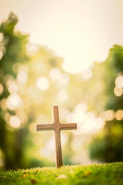 Sabah çimlerin üzerinde çapraz