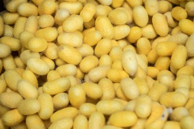 sarı ve beyaz balıkların arkaplanı