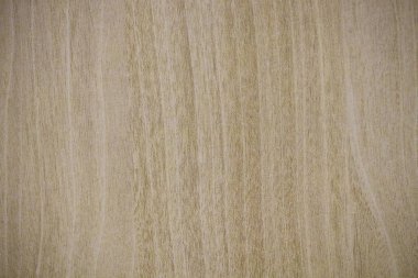 Ahşap doku arka planı. meşe ağacı.