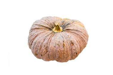 Beyaz arkaplanda kabak izole