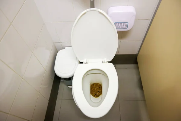 Toilet Kom Witte Wastafel Badkamer Interieur — Stockfoto