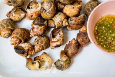 Beyaz arka planda taze deniz ürünleri