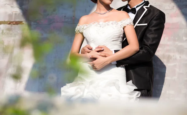 Novia Novio Tomados Mano Día Boda — Foto de Stock