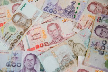 Bir yığın Amerikan lira banknotunu kapatın.