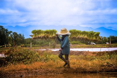 Tarlada sırt çantalı bir çiftçi