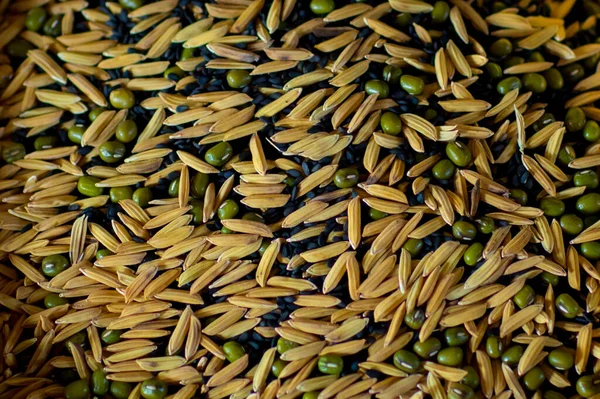 Gros Plan Des Grains Riz — Photo