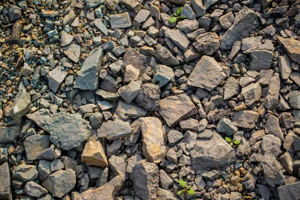 Stone Texture Background Top View Flat Lay — Stockfoto