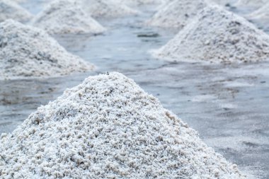 sand salt in the desert