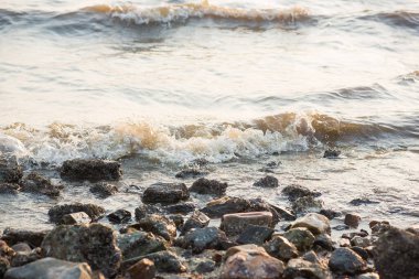 Sahildeki deniz dalgaları