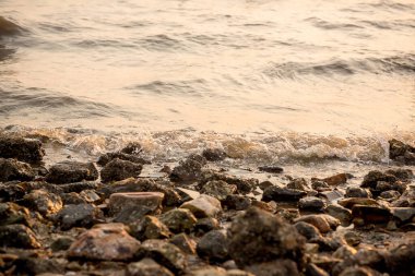 Sahildeki deniz dalgaları