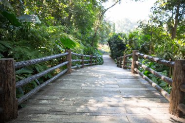 Parktaki tahta köprü.