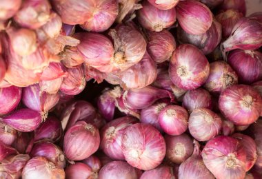 Beyaz arka planda taze sarımsak.