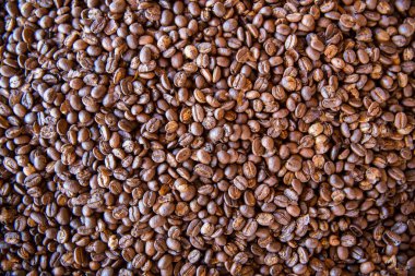 kahve çekirdekleri arkaplan dokusu