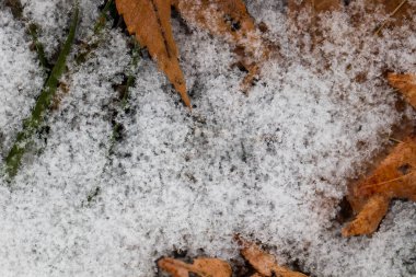 karla kaplı zeminde don