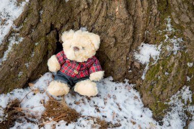 Küçük bir çocuk karda bir bankta oturuyor.