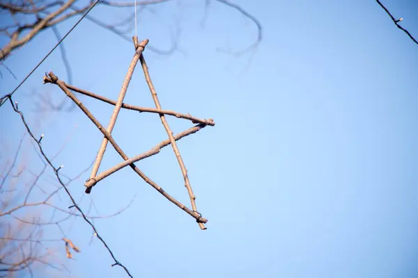 Stacheldraht Auf Einem Ast — Stockfoto