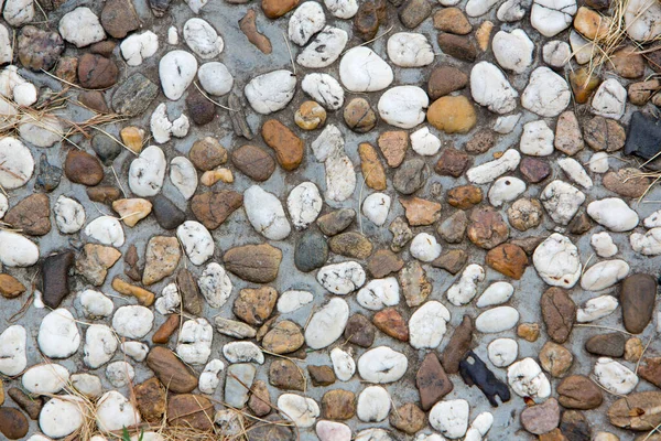 Φόντο Από Πέτρες Και Βότσαλα — Φωτογραφία Αρχείου