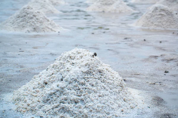 Sand Salt Desert — Stockfoto