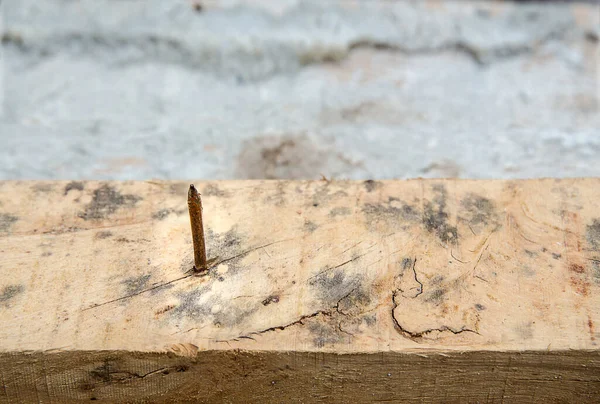 Textura Madeira Com Padrões Naturais — Fotografia de Stock