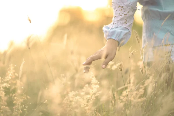 Una Chica Vestido Blanco Está Caminando Campo Trigo —  Fotos de Stock