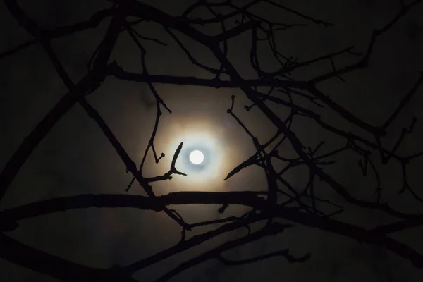 Beautiful Night Sky Moon — Stock Photo, Image