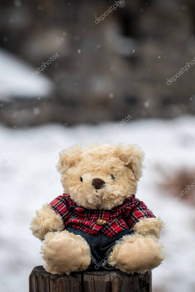 teddy bear with a toy on a background of a wooden bench