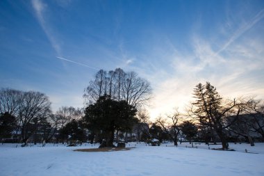 Alacakaranlık gökyüzü arka planı. Gün batımı gökyüzü ve bulut. Alacakaranlık zaman arkaplanındaki renkli gökyüzü. Bangkok Tayland 'da güzel bir gün batımı. Ateşli turuncu günbatımı gökyüzü. Arkaplan için güzel yumuşak ve bulanık biçim