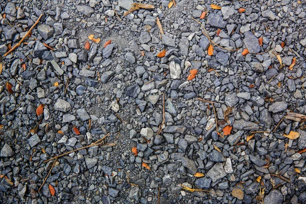 Närbild Stenhög Stranden — Stockfoto