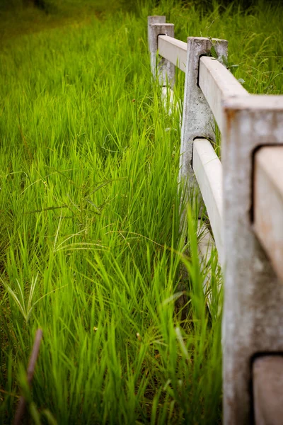 Panca Legno Nel Parco — Foto Stock