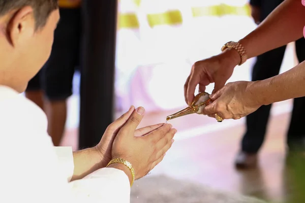 Свадебные Кольца Невесты Жениха — стоковое фото