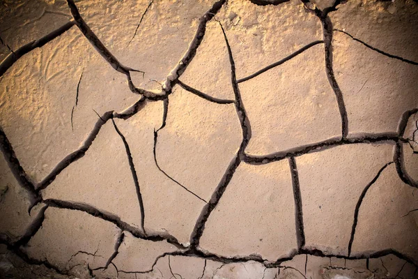 Cracked earth. Cracked mud from drought in the desert. Dry soil