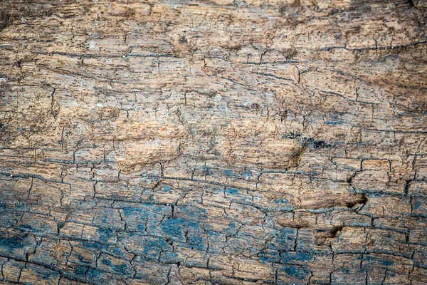 Old Cracked Wooden Log Timber Wooden Texture Stump Wooden Wall — Stock Photo, Image