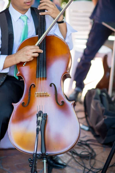 Classical music professional cello player solo performance, hands close up, unrecognizable person.Cello player or cellist performing in an orchestra isolated with copy space for background.
