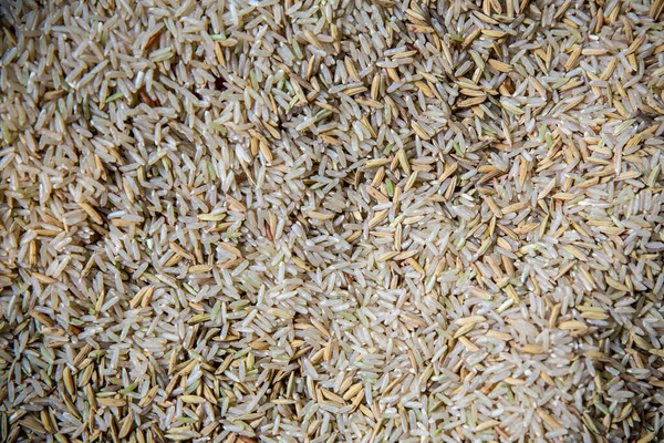 木製の臼と杵で伝統的な米の製粉 古代の米臼のオフィスパドル ライスフライス機上の米の穀物 — ストック写真