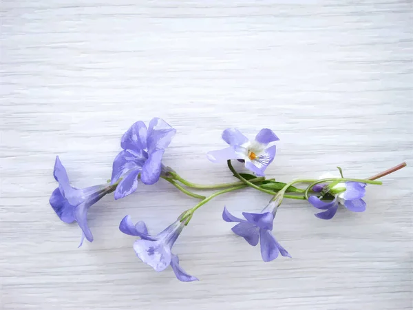 Buquê Primavera Flores Violetas Fundo Madeira Leve Cartão Saudação Vetor — Vetor de Stock