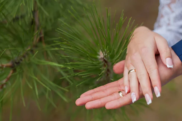 Boda, novia, pareja, novio, anillo, amor, compromiso, dedo, marido, matrimonio, personas, blanco, ceremonia, mano, celebración, primer plano, felicidad, humano, hombres, romance, juntos , —  Fotos de Stock