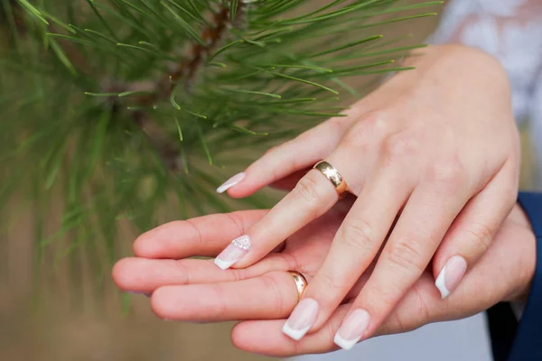 Boda, novia, pareja, novio, anillo, amor, compromiso, dedo, marido, matrimonio, personas, blanco, ceremonia, mano, celebración, primer plano, felicidad, humano, hombres, romance, juntos , —  Fotos de Stock