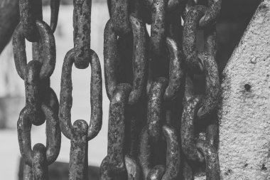 Beyaz bir arka plan üzerinde ağaç paslanmış zincirleri