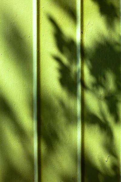 Zelené Železné Pozadí Čerstvém Vzduchu Stíny Stromu Padají Pozadí — Stock fotografie
