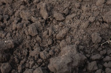 Toprağın doku fotoğrafı. Köyde bir bahçe..