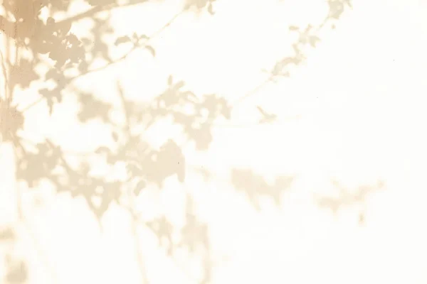 Ağacın gölgesi evin duvarına düşer. Arkaplan resmi.